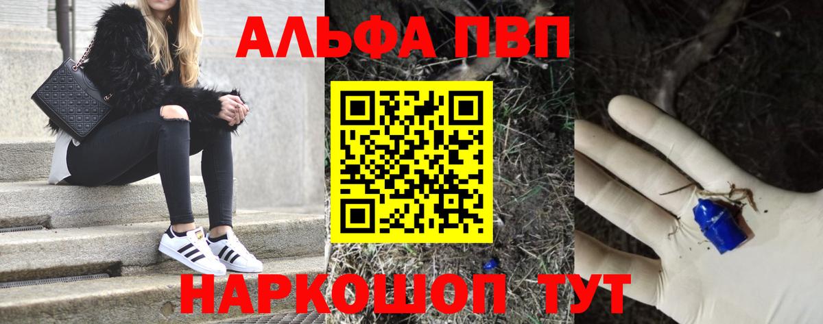 Альфа ПВП СК КРИС Надым