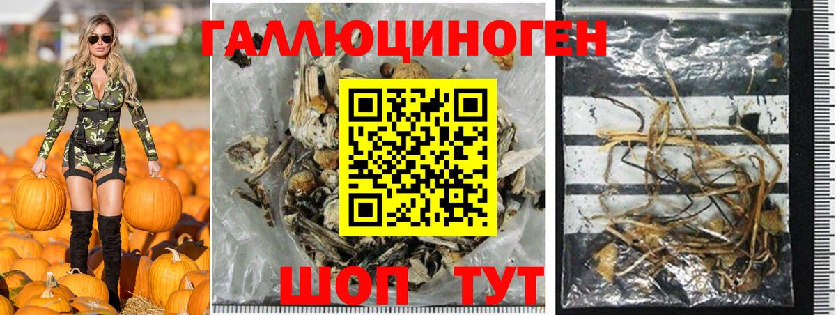 Галлюциногенные грибы Magic Shrooms Надым
